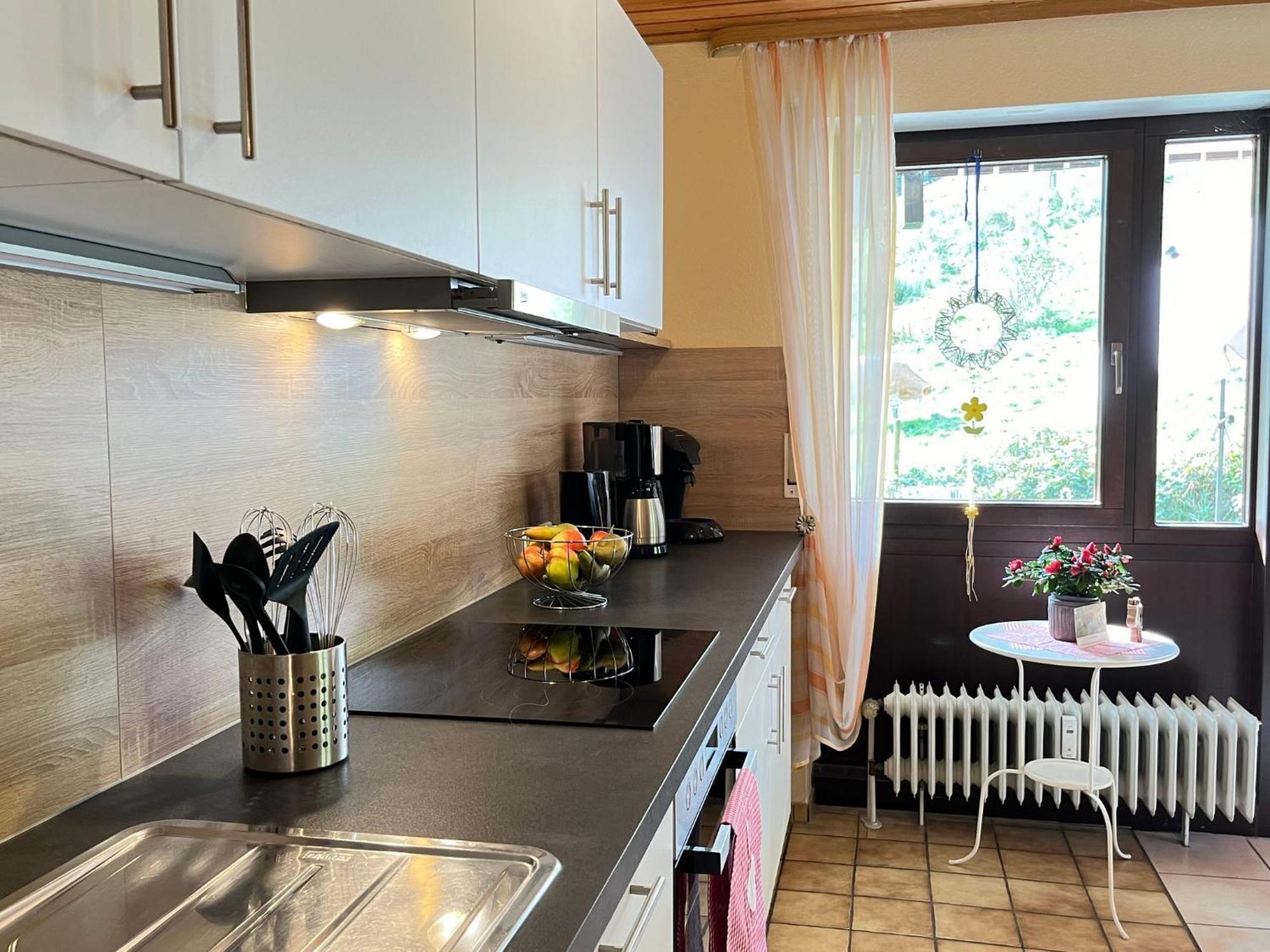 Apartment Sonnenblick II By Interhome Todtnauberg Εξωτερικό φωτογραφία